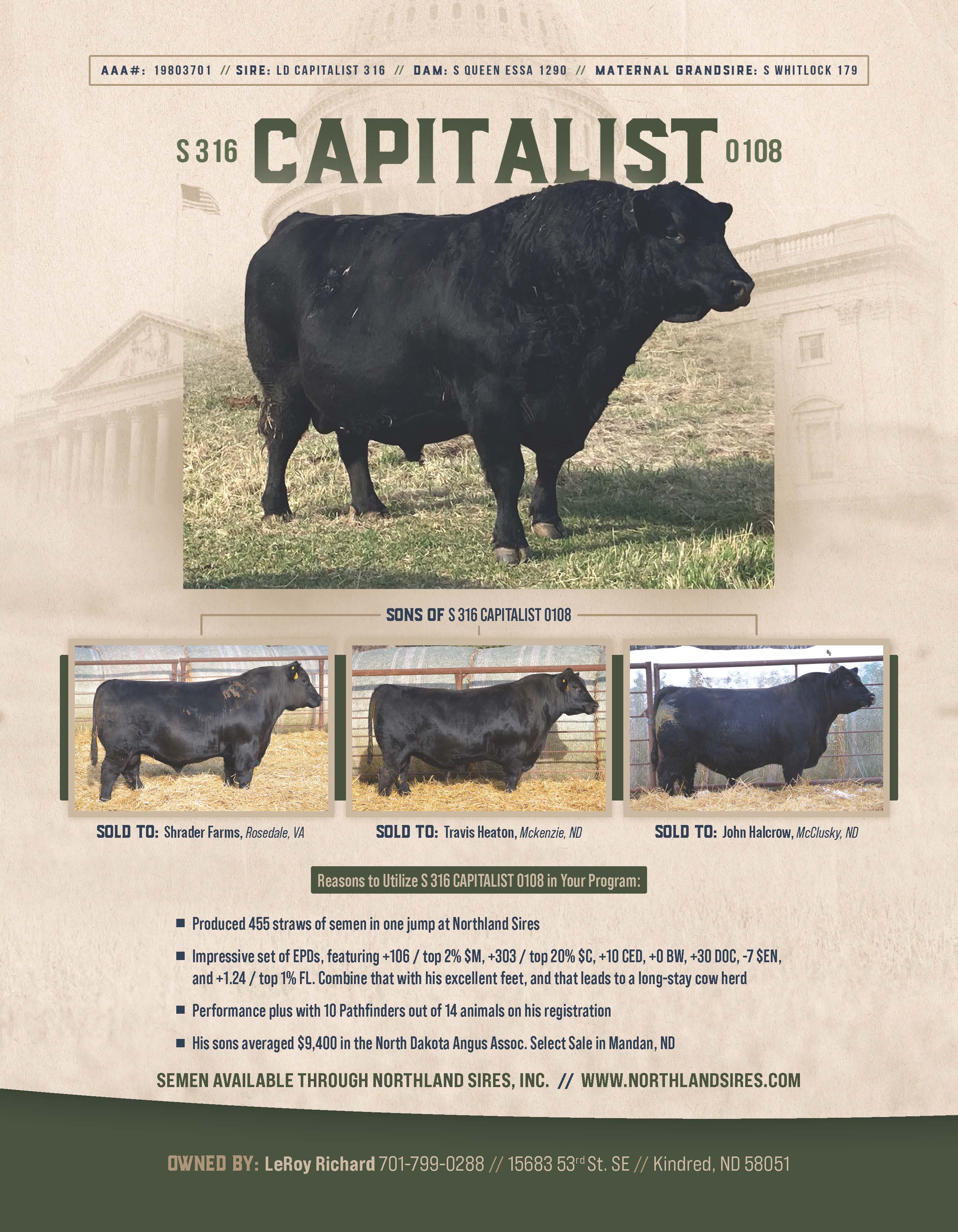 S 316 CAPITALIST 0108